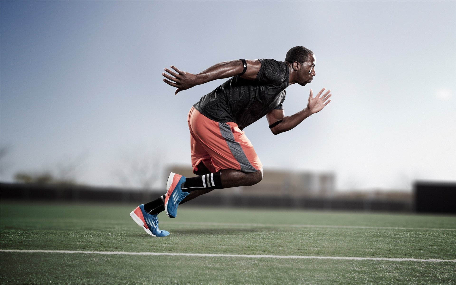 世界游泳2026年将试点无裁判电子判罚短距离项目